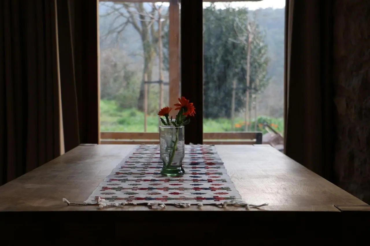 Casa Ecologica En Plena Naturaleza Arboli Holiday home